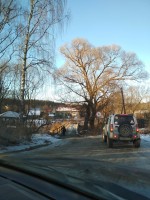 IMG_20201205_134451.jpg