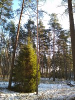 IMG_20201205_120512.jpg