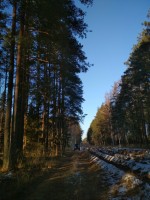 IMG_20201205_115952.jpg