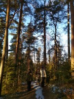 IMG_20201206_132424.jpg