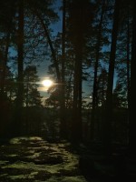 IMG_20201206_132418.jpg