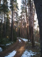 IMG_20201206_131525.jpg