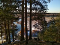 IMG_20201206_130729.jpg