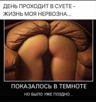 IMG-20201208-WA0000.jpg