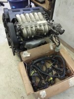 IMG_20201202_204609.jpg