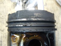 DSCN7315.JPG