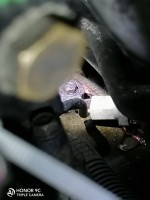 IMG_20201216_181716.jpg