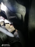 IMG_20201216_181650.jpg