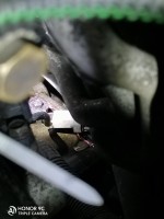 IMG_20201216_181659.jpg