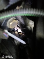 IMG_20201216_181704.jpg