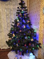 IMG_20201227_020619.jpg