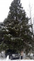 IMG-20210103-WA0012.jpg