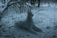 IMG_7593.JPG