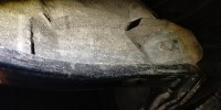 IMG_20210110_192639.jpg