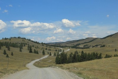 IMG_1654.JPG