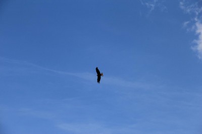 IMG_1801.JPG