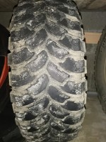 IMG_20210131_111437.jpg