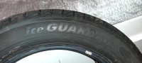 IMG-20210203-WA0021.jpg