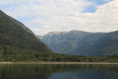 IMG_2441.JPG