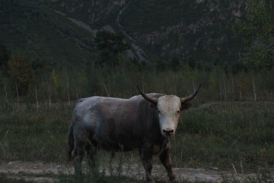 IMG_2599.JPG