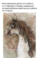 633.thumb.jpg.67e867cd097769d08619c54c04273c9b.jpg
