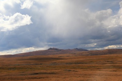 IMG_2954.JPG