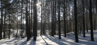 IMG-20210223-WA0013.jpg