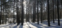IMG_20210223_100321.jpg
