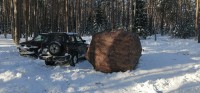 IMG_20210223_100308.jpg