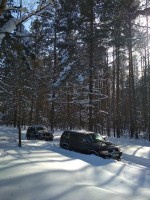 IMG_20210223_132428.jpg