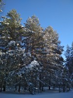 IMG_20210223_130632.jpg