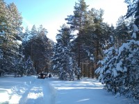 IMG_20210223_130612.jpg
