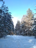 IMG_20210223_130315.jpg