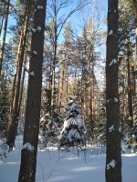 IMG_20210223_122218.jpg