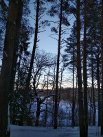 IMG_20210222_162909.jpg