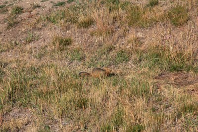IMG_2997.JPG