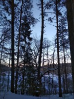IMG_20210222_162856.jpg