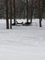 IMG_20210222_122638.jpg