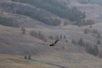 IMG_3124.JPG