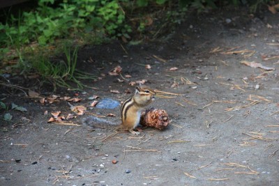 IMG_3371.JPG