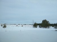 IMG_20210321_155038.jpg