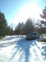 IMG_20210320_155454.jpg