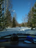 IMG_20210320_152444.jpg