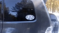 IMG_20210320_133745_6.jpg