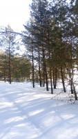 IMG_20210320_084921_5.jpg
