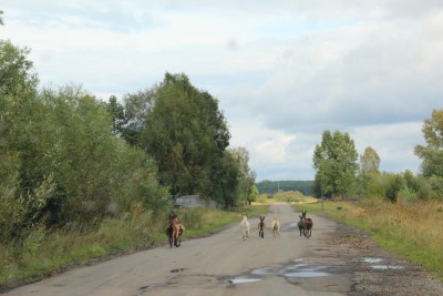 IMG_3464.JPG