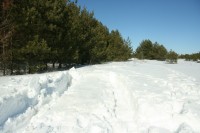 IMG_7625.JPG