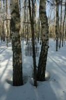 IMG_7664.JPG