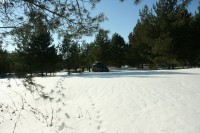 IMG_7663.JPG