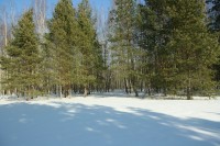 IMG_7661.JPG